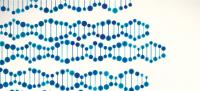an artist's rendering of DNA molecules